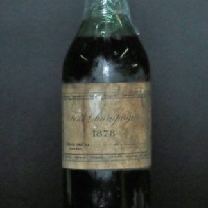 CAMUS FINE CHAMPAGNE COGNAC